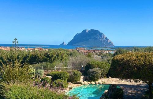Porto San Paolo Villa | Villa Paradiso