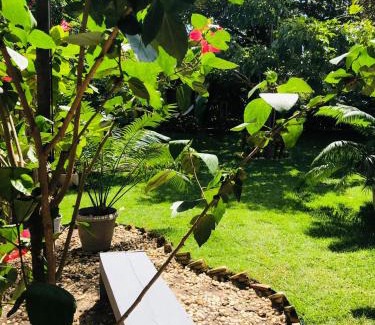 Barra Grande Casa | Villa Piauí