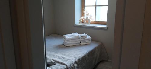Palanga Apartamento | Villa Pine Forest by the Baltic Sea