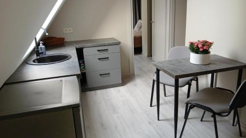 Palanga Apartamento | Villa Pine Forest by the Baltic Sea