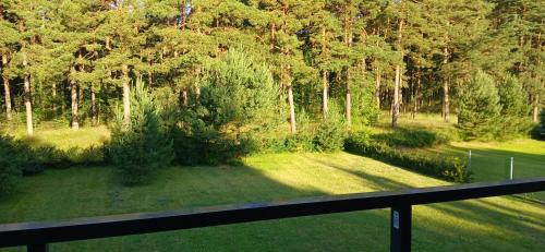 Palanga Apartamento | Villa Pine Forest by the Baltic Sea