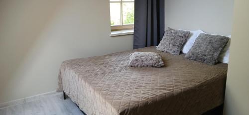 Palanga Apartamento | Villa Pine Forest by the Baltic Sea