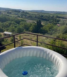 Petrovaradin Apartamento | Villa Popovic - apartments Fruska gora