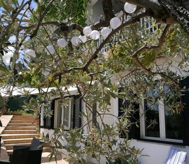 Vasto Casa | Villa Rosaria