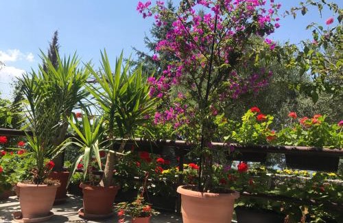 Ohrid Casa | Villa Sandra Lagadin