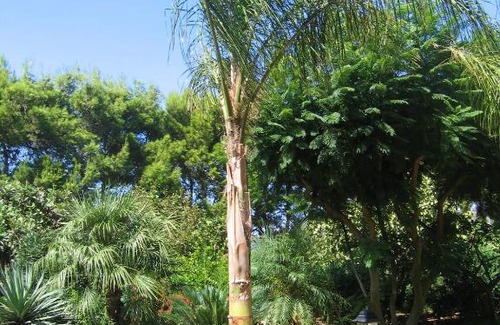 Castelluzzo Casa | Villa Santa Margherita