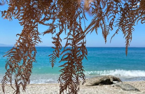Borsh Apartamento | Villa Shega