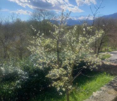 Burolo Apartamento | Villa Sigerico apartment