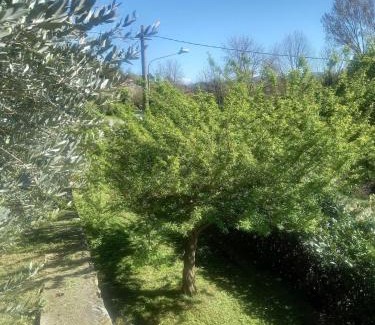 Burolo Apartamento | Villa Sigerico apartment
