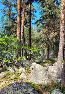 Norsjo Villa | Villa Stone House Lappland