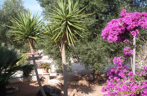 Salve Casa | villa rodeada por el Mediterráneo, no lejos del mar