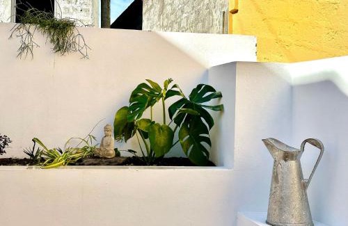 Ribeira das Tainhas Casa | Villa Tangerinetta