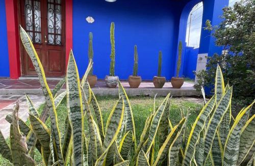 Alta Gracia Apartamento | Villa Tequila-Casa Frida