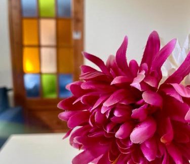 Alta Gracia Apartamento | Villa Tequila - Casa Jalisco