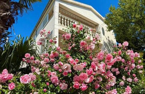 Donji Zagon Villa | Villa Theresa Kroatien
