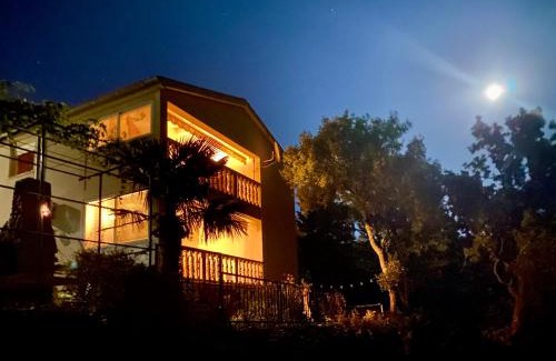 Donji Zagon Villa | Villa Theresa Kroatien
