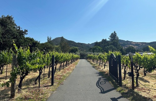 Kenwood Casa | Villa Ticino wine country vineyard estate - pool, spa, bocce + walk to wineries