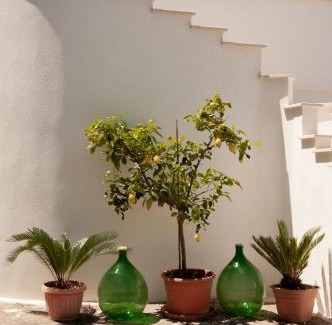 Castellana Grotte Apartamento | Villa Tra i Pini - Green & Relax