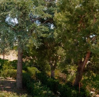 Castellana Grotte Apartamento | Villa Tra i Pini - Green & Relax