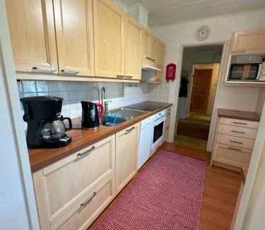 Sodankyla Apartamento | Villa Tyynelä