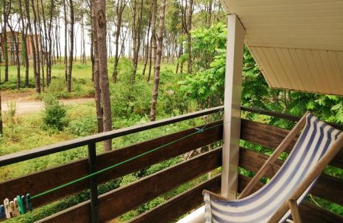 Shekhvetili Casa | Villa Vachnadze