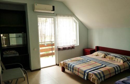 Shekhvetili Casa | Villa Vachnadze