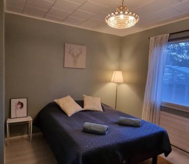 Mikkeli Apartamento | Villa Vapaus