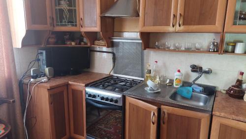Svalyava Casa | Villa Verde Зелена вілла