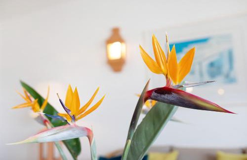 El Paso Casa | Villa Verde Superior B