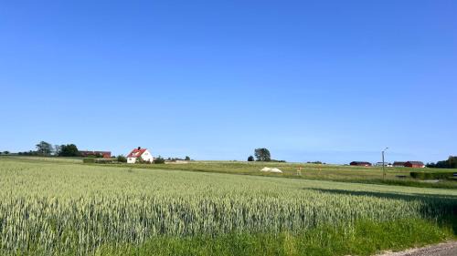 Ystad Casa | Villa Vinja