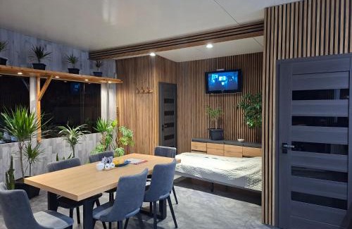Gniezno Cama Y Desayuno | Villa Vip Apartament Kinowy, pokoje