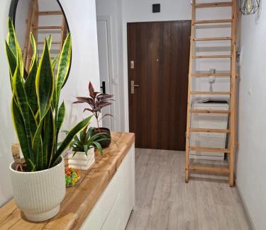 Gniezno Apartamento | Villa Vip-pokoje,śniadanie, Apartament