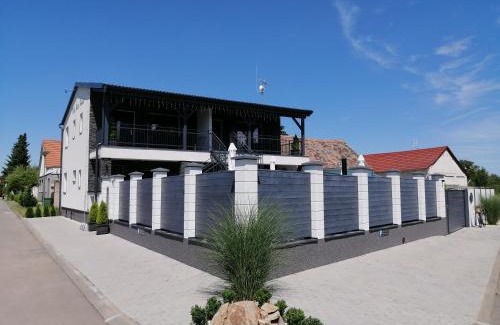 Hrusovany nad Jevisovkou Casa | Villa Wine House