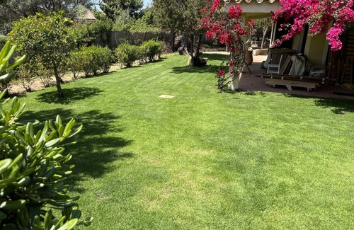 Villaggio delle Mimose Villa | Villa con gran jardín a 100 metros de la hermosa playa "timi ama".