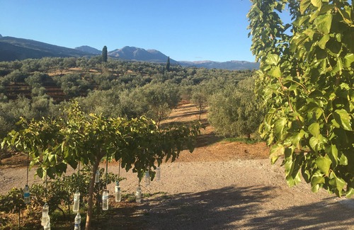 Aigio Villa | Villa con excelentes vistas de ver y país