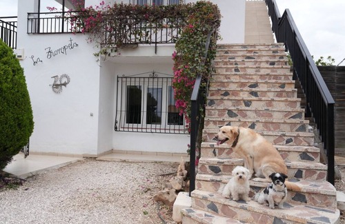 Urbanitzacio la Fustera Villa | Villa with magnificent sea view, private pool/Jacuzzi, stay for 2 to 15 people