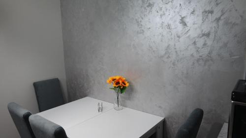 Kopaonik Apartamento | Villa Zagorka and mountain houses A, M, D
