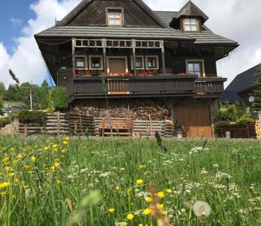 Bachledova dolina Villa | Villa Zdiar 681