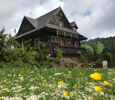 Bachledova dolina Villa | Villa Zdiar 681