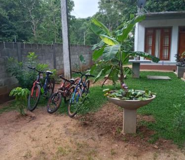 Polonnaruwa Casa | Villa77