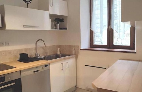 La Cote-Saint-Andre Casa | Village house facing the castle Pets welcome
