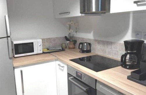 La Cote-Saint-Andre Casa | Village house facing the castle Pets welcome