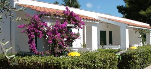 Montincello Complejo | Villaggio Turistico Residence Delfino