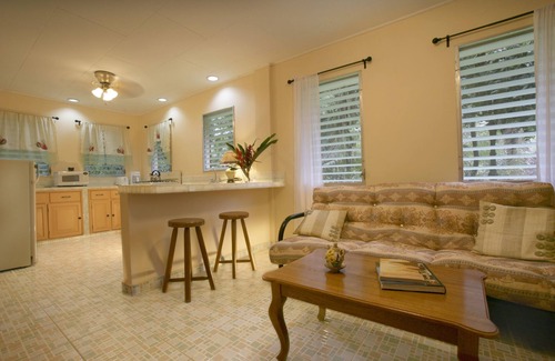 Corozal Cabina | Villas Pico Bonito