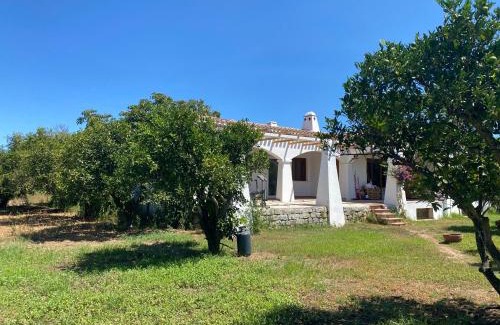 Arbatax Villa | Ville Tziu Mariucciu