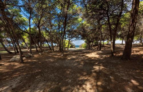 Rivabella Apartamento | Villetta Lido La Pineta by BarbarHouse