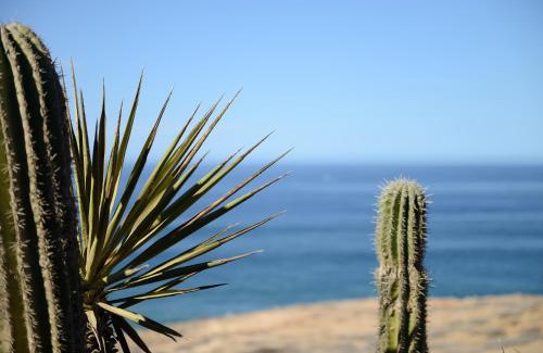 El Pescadero Apartamento | Villita tres vistas