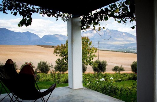Drakenstein Casa | Vineyard Cottage at Bosman Wines