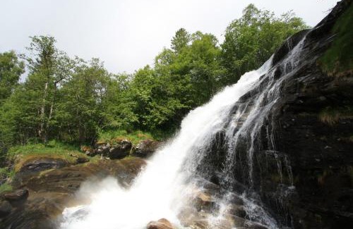 Geiranger Otro | Vinje Camping