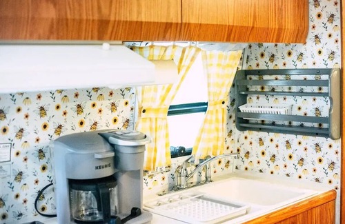 Covington Casa | Vintage Airstream Camper in Covington, VA 4 guests - 1 bedroom - 3 beds -1 bath